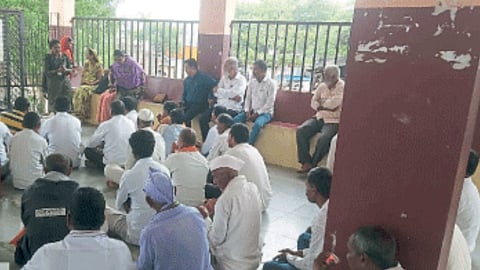 Jalna Sowing Update