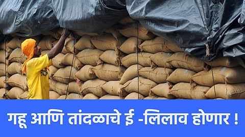 Wheat and Rice Price