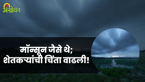 Monsoon 2023
