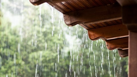Rain
