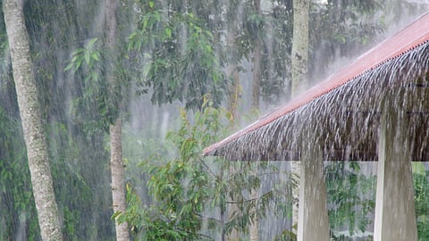 Rain Update