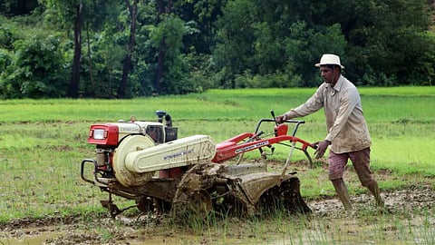 Farming