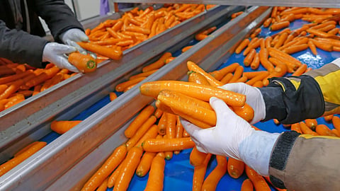 Food Processing