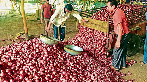 Onion Subsidy