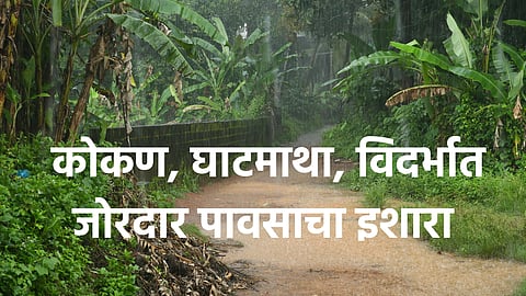 Monsoon Rain