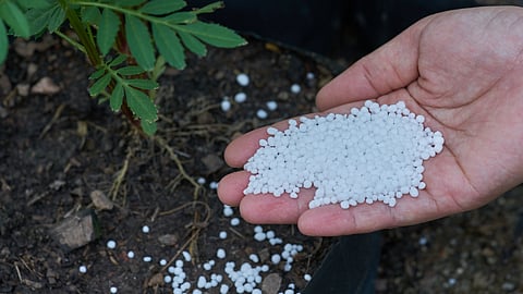 Fertilizer Use