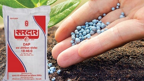 Bogus Fertilizer Supply