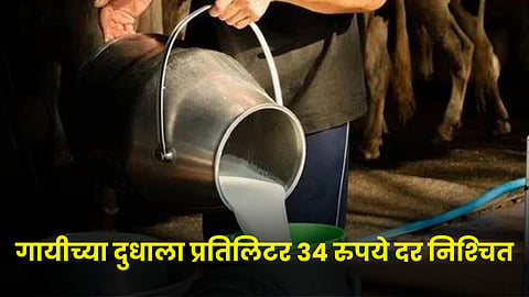 Milk rate