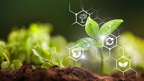 Agriculture AI