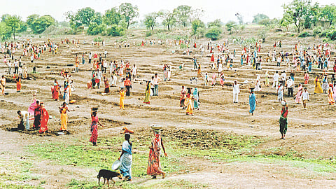 Rural Development