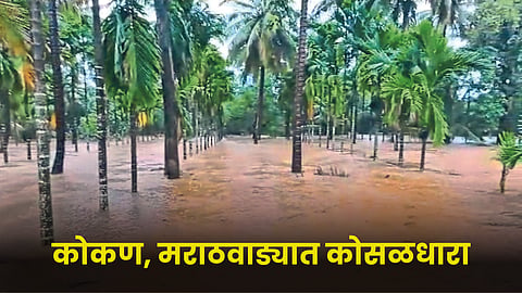 Rain Update