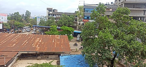 Kolhapur Rain Update