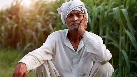 Crop Insurance