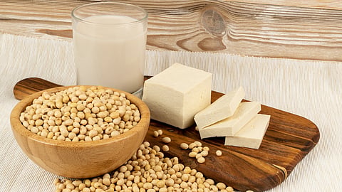Soybean