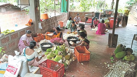 Kokani Production
