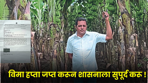 Banana Crop Insurance