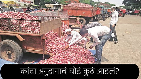 Onion
