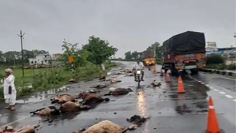 Nagpur Highway Accident