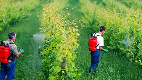 Biological Pesticides