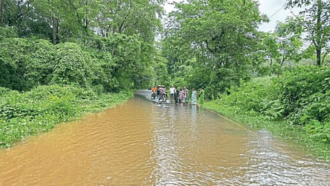 Flood
