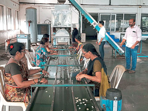 Development of industry