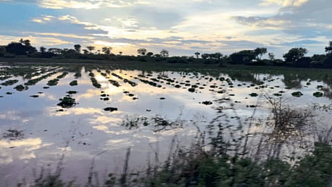 Rain Update