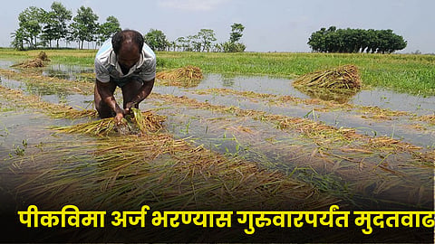 Crop Insurance
