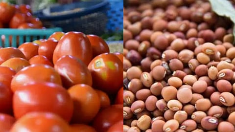 Tur, Tomato Rate