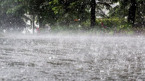 Rain