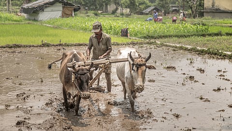 Indian Agriculture