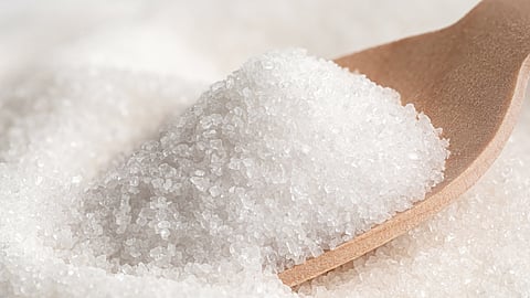 Sugar Production