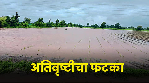 Crop Damage