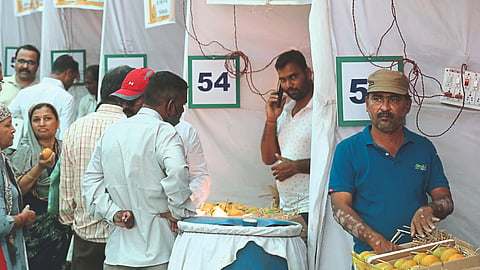 Mango Festival