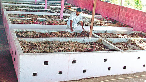 Vermicompost