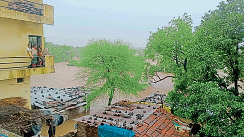 Yavatmal Rain