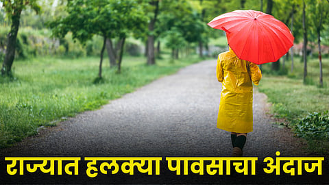 Rain Forecast