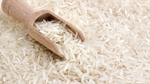 Rice Export