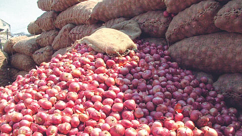 Onion