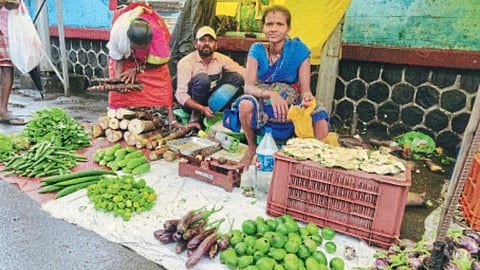 Wild Vegetable