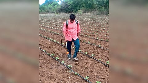 Kharif season