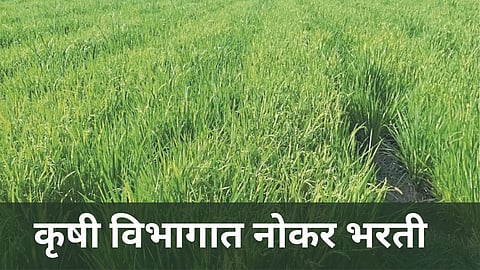 Krushi Sevak Bharti