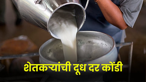 Milk Rate