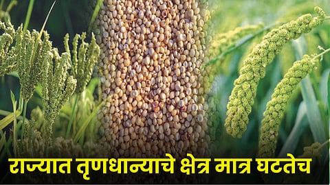 Millet