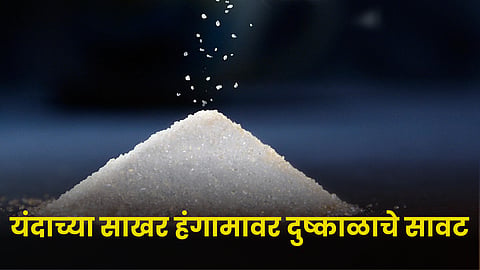 Sugar
