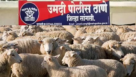 Sangli Umadi Police