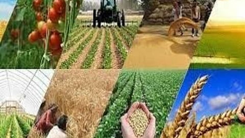 Economical Development