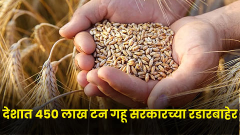 Wheat Market