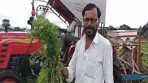 Kothimbir Rate