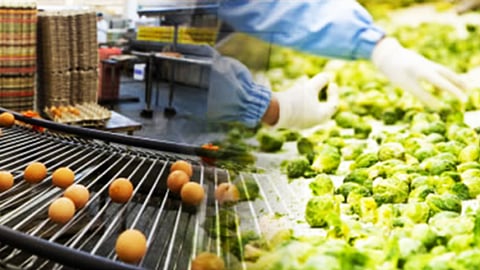 Food Processing