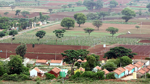 Rural Story